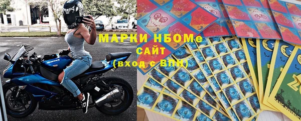 хмурый Алзамай