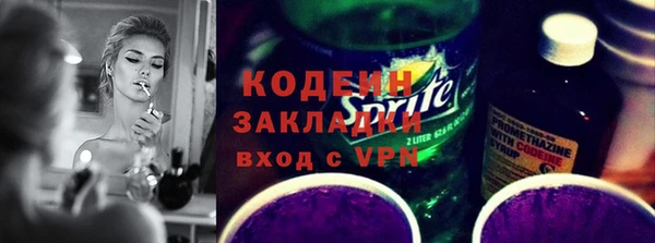 хмурый Алзамай