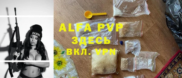 хмурый Алзамай