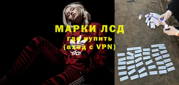 хмурый Алзамай