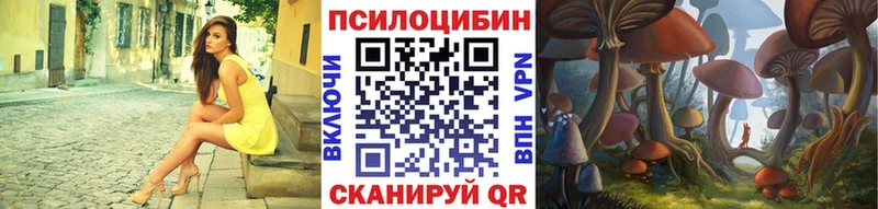 Купить где  Сорочинск  Галлюциногенные грибы мухоморы 